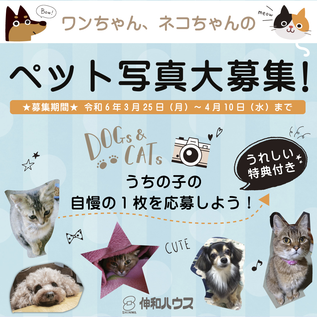 ペット写真大募集　ワンちゃん　ネコちゃんの写真募集